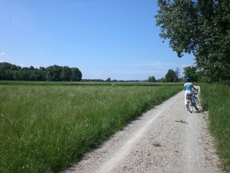 Radl-Tour Hopfenland